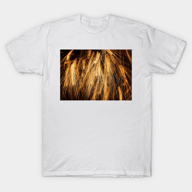 Wheat T-Shirt by Nigdaw